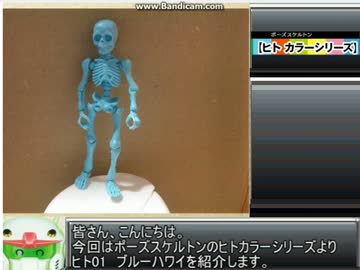 【玩具紹介84】ヒト01　ブルーハワイ【ポーズスケルトン】