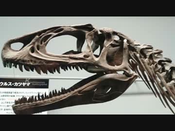 ゆっくりが恐竜を解説すんよ～　第三十四回：日本の恐竜