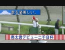 走る姿美しい、亮太君デビュー二千日杯３歳Ｂ５