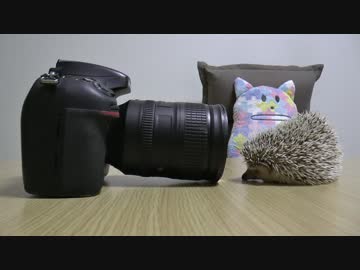 ハリ活.vol 10 ~クウネル・アソブ~