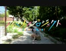 【ぬこ缶】DEEP BLUE TOWNへおいでよ 踊ってみた【夏だよ！】