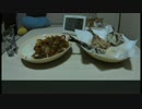 【ぼくなつ2】8/22おばちゃんの晩ごはん作ってみた