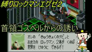 [華のある縛り実況]ロックマンエグゼ2：Part32