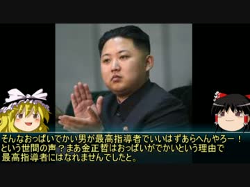 【ゆっくり歴史解説】黒歴史上人物「金正恩」