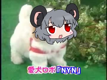 愛鼠ロボ「NYN」
