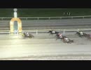 2017年8月28日大井競馬12R サマーメモリー賞(B2-三組) イノデライト