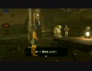 にわかどもが行く【ゼルダの伝説ブレスオブ ザ ワイルド】【実況】  　27