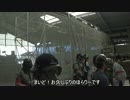 ほらさば！　８/20　F2プラント