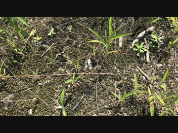 館山発・南房総サイクリング