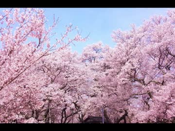 【替え歌】がるよ、来い【春よ、来い】