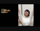 やまめぐミサイルVS種ちゃん