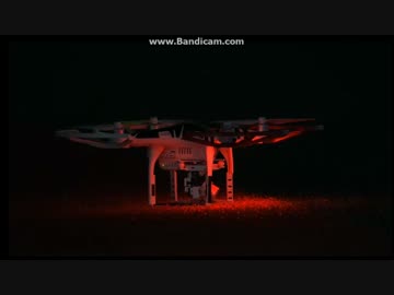 楽天-西武戦　鳥の集団襲来で試合再開できず　