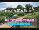 ふらふら放浪記プチ（東京都薬用植物園）