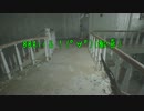 ホラー耐性0とちょい有がBIOHAZARD７をやると酷い。 Part.4