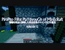 情報完全遮断完全初見でマインクラフト#12
