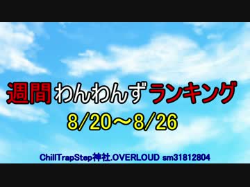 週間わんわんずランキング 8/20～8/26
