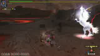 【MHF-Z】GHCキリン ライトボウガン2ラスタ【通常弾】
