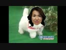 愛犬ロボ「豊田真由子様」