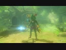 【DLC】お姉さんのブレスオブザワイルド【ゼルダの伝説】PART138