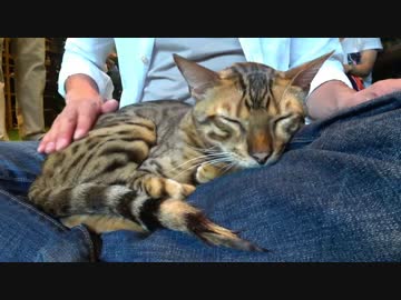 初めて尽くしの東京観光してきたよ（1日目）