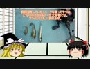 ゆっくり達と食料を調達するVol.3 津久井湖のギルうめぇ。