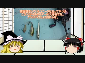 ゆっくり達と食料を調達するVol.3 津久井湖のギルうめぇ。