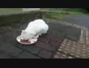 20170831