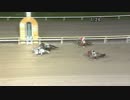 2017年8月31日大井競馬11R シンデレラチャレンジ３(A2以下選抜牝馬)