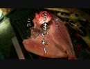 episode.80 2017四国キャンプツーリング⑯　一の宮BBQナイトの巻。