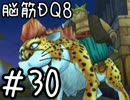 【初見実況】空と海と大地と脳筋と呪われし姫君【DQ8】　part30