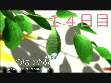 【ぼくなつ】僕たち、私たちの休暇【実況】１４日目