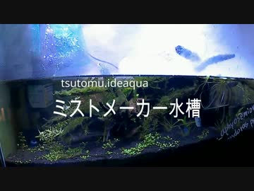 ミストメーカーを使用した50cm水槽