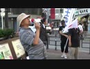 【2017/9/2】第十回　護国志士の会　池袋定例街宣５　中澤忠男氏