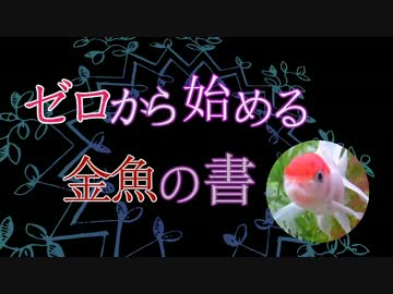 ゼロから始める金魚の書 part1