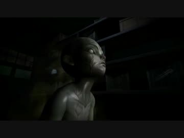 #５ どういう種類？【WHITEDAY】