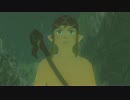 にわかどもが行く【ゼルダの伝説ブレスオブ ザ ワイルド】【実況】  　29