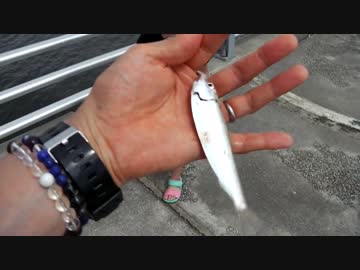 クルマで釣りに行こう♪ part 67 【サビキ&amp;サヨリ釣り】