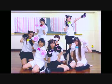 【頑張って】すーぱーぬこわーるど【踊ってみたよ！】