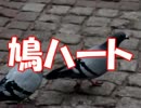 【ニコラップ】鳩ハート～平和〜【MoleNJU^TAN】