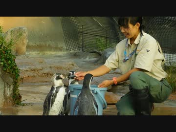 グレープ君のごはんタイム