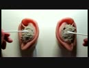 【音フェチ】砂耳かき【ASMR】