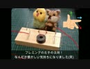 100円ショップの実験シリーズ「モーターをつくろう！」