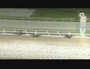 2017年9月3日船橋競馬11R 桑島孝春記念(B1・B2) シークロム