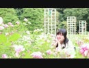 【かずは】ようこそジャパリパークへ【踊ってみた】