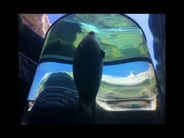 【ゆっくり】　日本一周自転車旅　part93　旭川