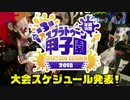 「第3回Splatoon甲子園」大会スケジュール発表＆参加応募受付中！