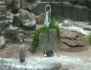 コラボ終了後のグレープ君とフルル 9月5日【東武動物公園】