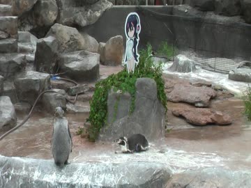 コラボ終了後のグレープ君とフルル 9月5日【東武動物公園】