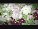グラスメンタル