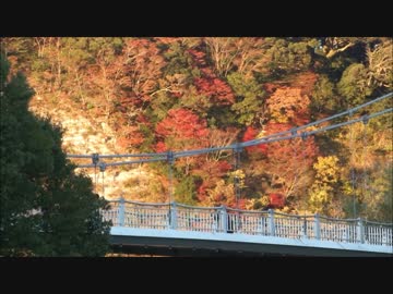 【ニコラップ】ビュッフェライフ【菊禅】